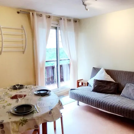 Appartement 2 Pièces, Skis Aux Pieds, Proche Commerces Avec Balcon. Capacité 6 Pers, Animaux Non Admis - Fr-1-771-11 *